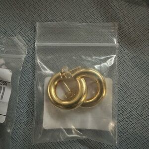 Gold Hoop Earrings Pandora New
